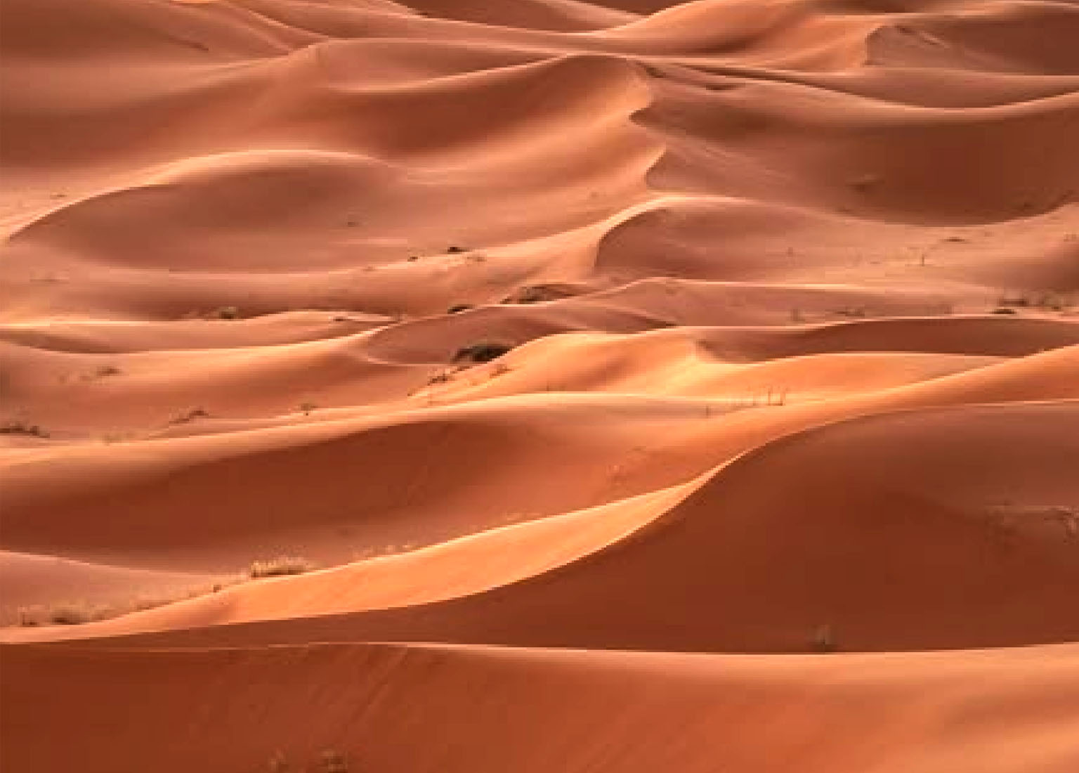 Golden dunes whispering secrets
