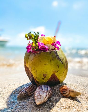 coconut